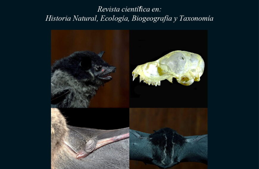 Volumen 21 N°2 2025