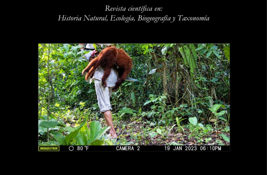 Volumen 22 N°1 2026